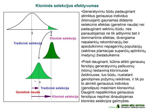 Schema: Dominantinis ir recesyvinis aleliai