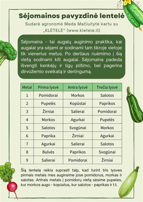 sėjomainos schema daržininkystėje
