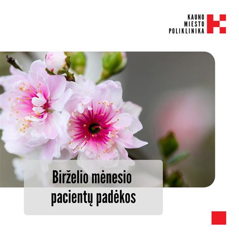 Birželio mėnesio sodininkystė