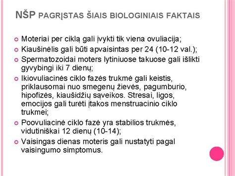 menstruacinio ciklo fazės
