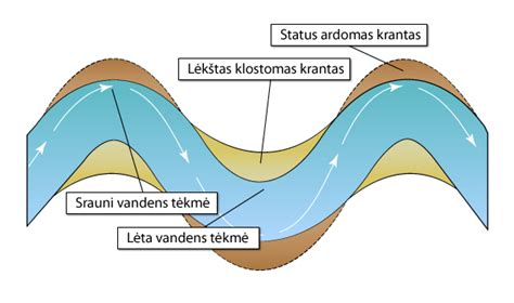 Schema, kaip vaisiaus vandenys atlieka savo funkcijas