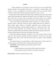 Hiperaktyvūs vaikai ir jų energijos nukreipimas