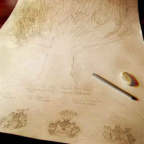 Gražiai iliustruotas lietuviškų vardų medis