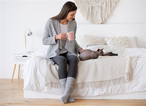 katės nėštumo požymiai