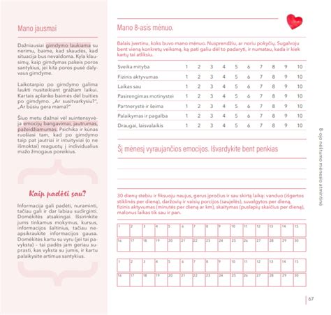 katės nėštumo kalendorius