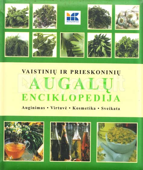 Vaistinių ir prieskoninių augalų lysvė su informacinėmis lentelėmis