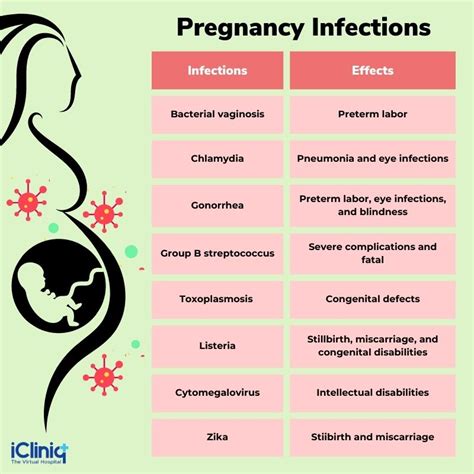 infographics on infections during pregnancy and their risks