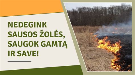 Simbolinis paveikslėlis, vaizduojantis motinystę ir gamtą