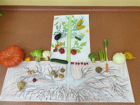 Daržovės darželyje