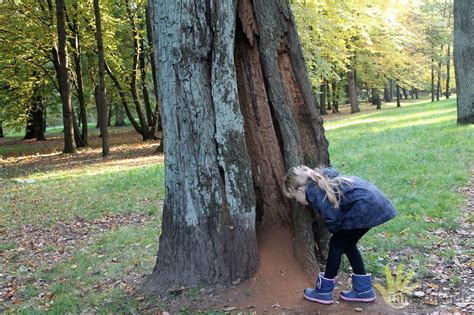 vaikai gamtoje renkasi lapus ir akmenukus
