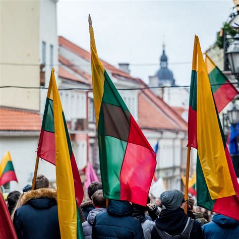 Iliustracija su Lietuvos herbais ir vėliavomis