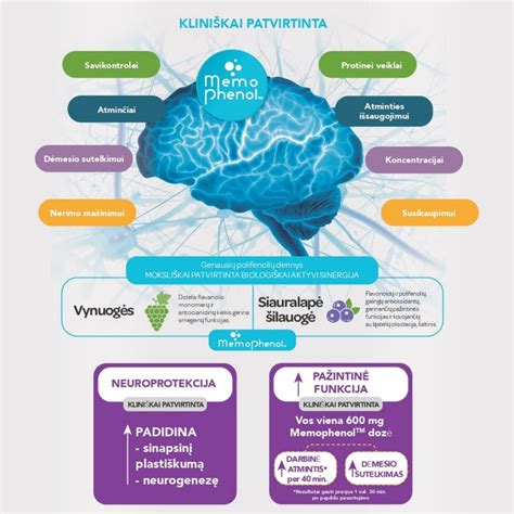 Schematinis antidepresantų poveikio smegenims ir hormonų ašiai pavaizdavimas