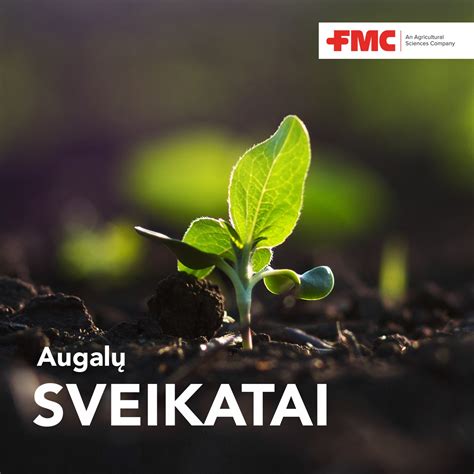 Vaistažolės ir natūralūs produktai, skirti moters sveikatai