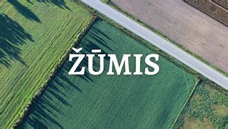 Nuotrauka, iliustruojanti taisyklingą tablečių nurijimą