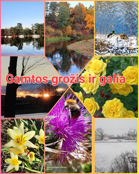 Vaikystės ir gamtos grožis