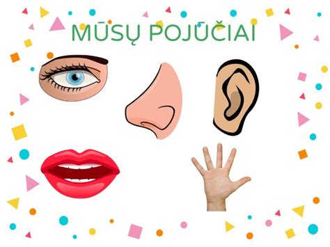 schematinis vaizdavimas, kaip pojūčiai padeda pažinti pasaulį