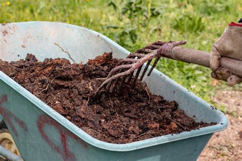 Avių mėšlo kompostavimo procesas
