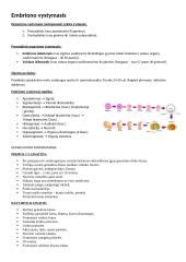 Schema vaizduojanti embriono perkėlimo į gimdą procesą
