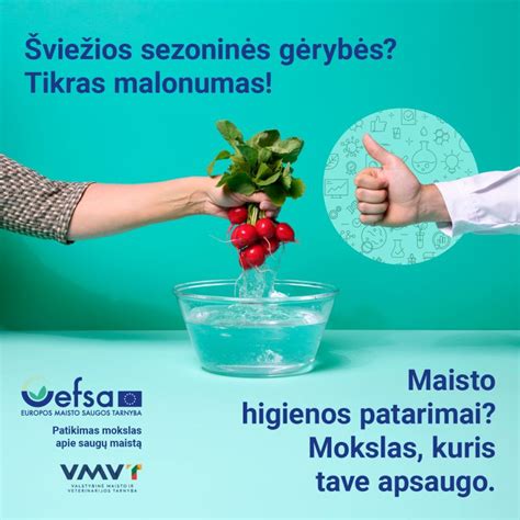 Infografika su pagrindinėmis maisto higienos taisyklėmis