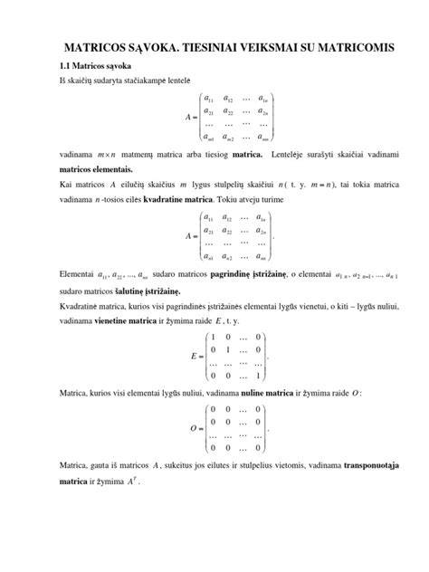 Scheminis kaulinio audinio ląstelių ir matricos pavaizdavimas