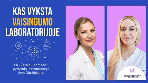 Schematinis vaizdas: kaip veikia pagalbinio apvaisinimo procedūros (IUI ir IVF)