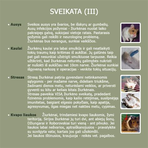 Nėštumo trukmė įvairių gyvūnų