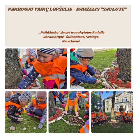 Vaikų sukurti vabalai iš gamtinių medžiagų