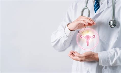 žmogaus reprodukcinė sistema