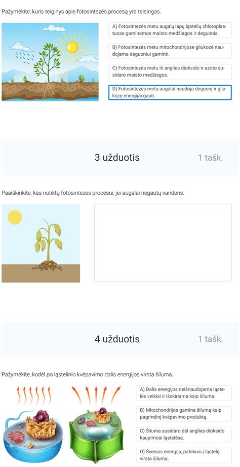 Vaizdžiai iliustruojantis vaikų mokymosi procesą apie maisto kilmę