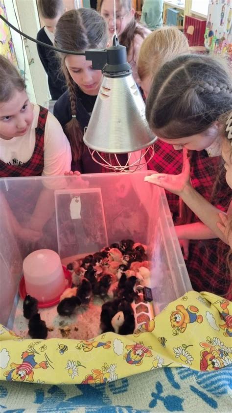 Vaikai atlieka eksperimentą „Lietus puodelyje“