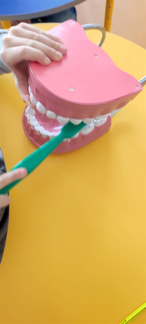 vaikų dantukų valymo pamokėlė