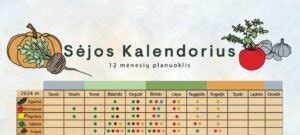 Sėjos gylio lentelė daržovėms