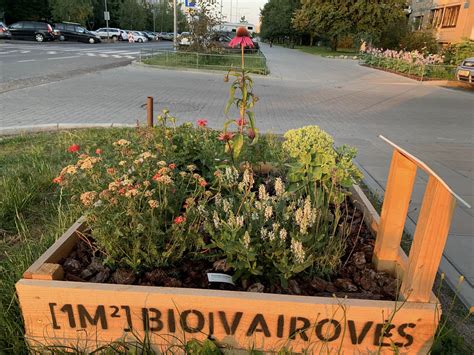 Pilaitės rajono iniciatyva „Idėjų lysvė“