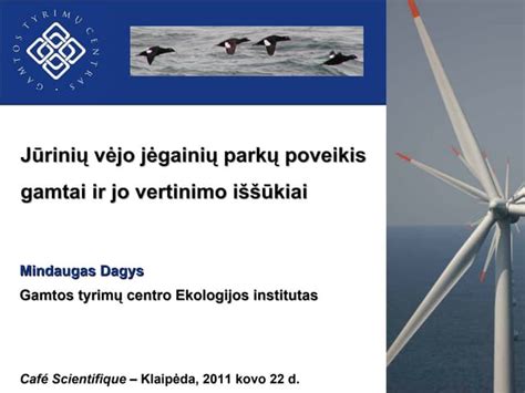 Vėjo poveikis juntamajai temperatūrai