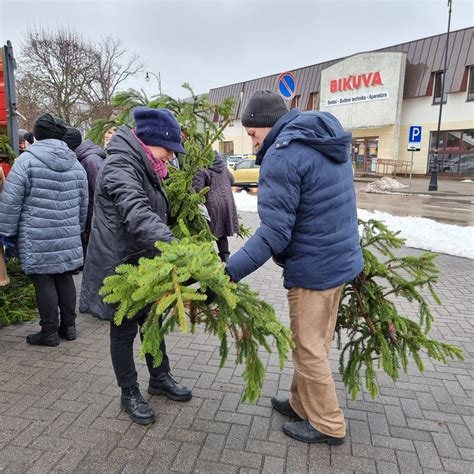 Kapavietės puošimas eglių šakomis
