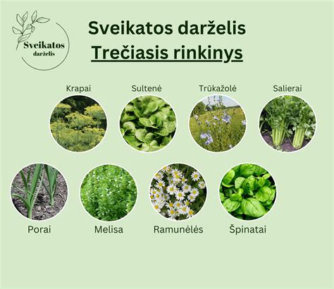 Daržovių sėklų sodinimo gylio schema