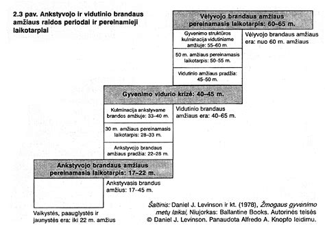 Erdvinis vaizdas su Eriksono raidos etapų schemomis