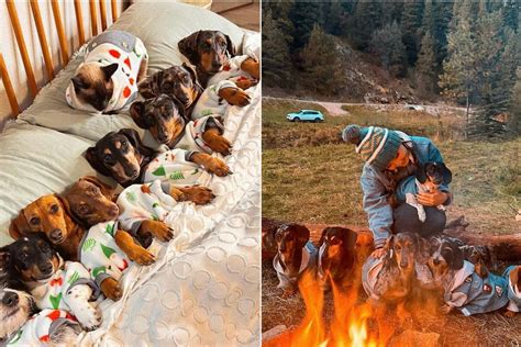 Nėščioji miega su pagalve