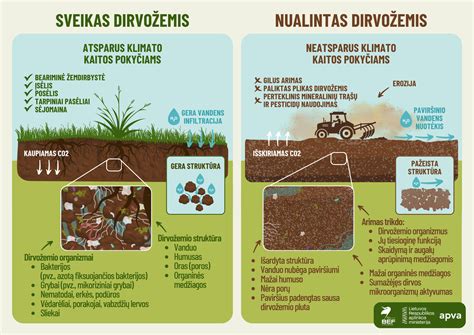 Schematinis pavaizdavimas tinkamos dirvožemio sudėties daržams