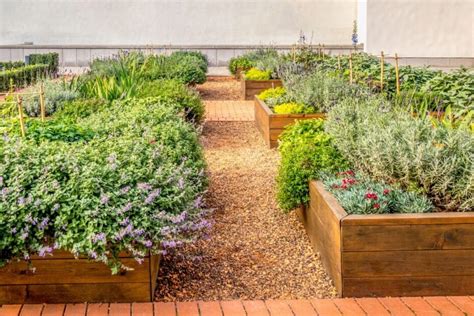 Schema, kaip išplanuoti daržo lysves ir takus