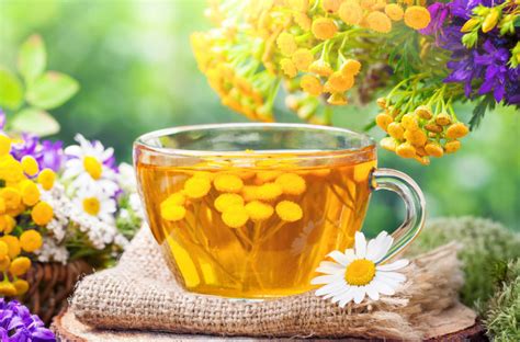 Vaizdas su vaistinių žolelių, naudojamų kosulio ledinukuose, pavyzdžiais