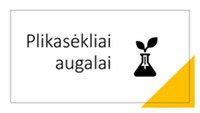 Plikasėklių augalų įvairovė