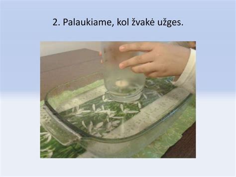 vaikai daro mokslinius bandymus su vandeniu