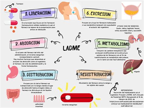schema hibridizacijos proceso
