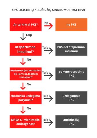 Scheminis policistinių kiaušidžių sindromo (PKS) paaiškinimas