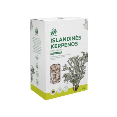 Schema, kaip islandinė kerpena veikia imuninę sistemą