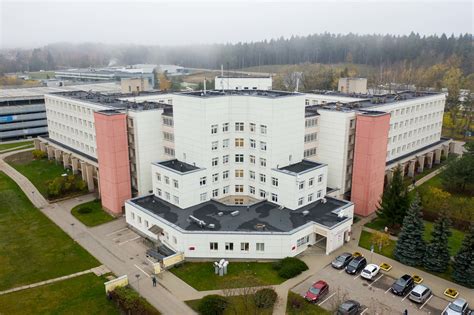 Virkštelės liekana po gimimo