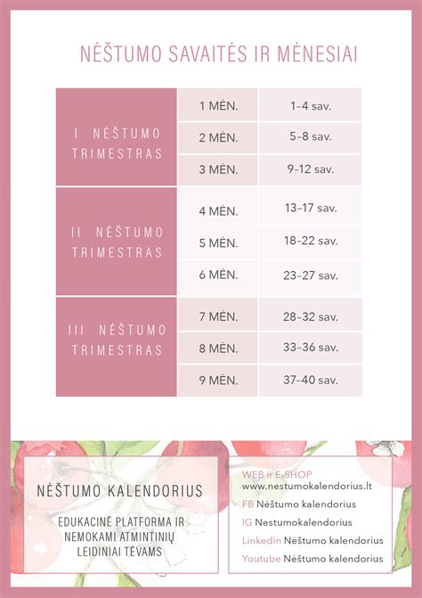 skaičiuojamas nėštumo terminas