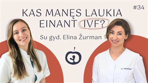 IVF procedūros schematinis vaizdas