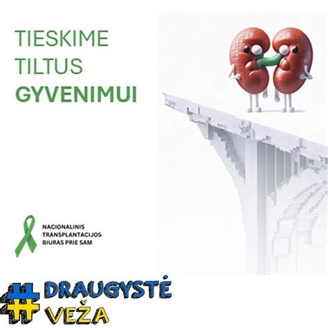 Donorystės procesas Lietuvoje